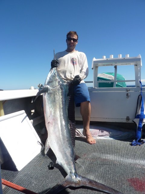 Jurien Marlin and more